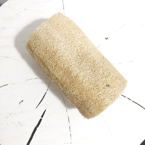 Éponge végétale Luffa