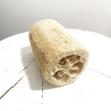 Éponge végétale Luffa