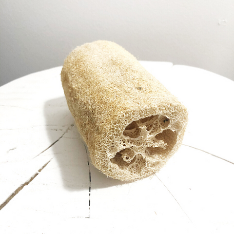 Éponge végétale Luffa